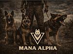 MANA ALPHA
