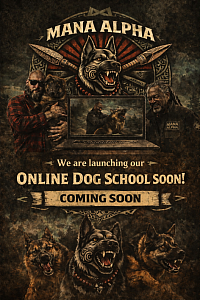 MANA ALPHA